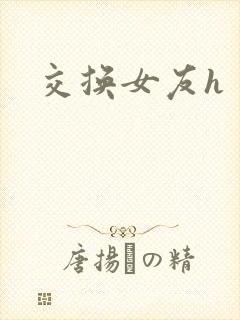 交换女友h