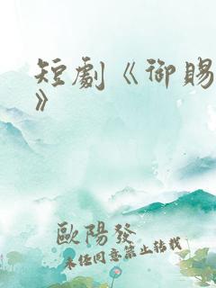 短剧《御赐傻婿》