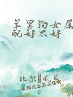 羊男狗女属相婚配好不好