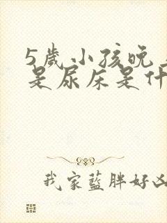 5岁小孩晚上老是尿床是什么原因