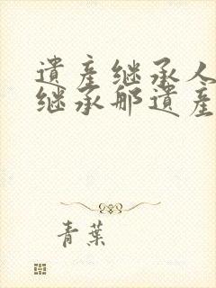 遗产继承人放弃继承那遗产归谁