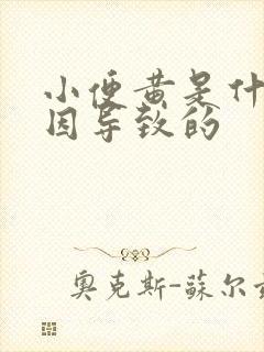 小便黄是什么原因导致的