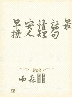 早安情话最暖心撩人短句