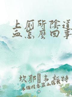 上厕所阴道里有血怎么回事