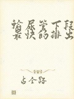 输尿管下段结石最快的排出方法是