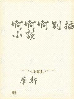 啊啊啊别插太深小说