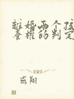 离婚两个孩子抚养权的判定标准