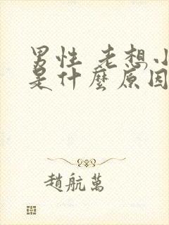 男性 老想小便是什么原因