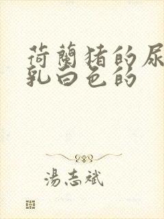 荷兰猪的尿液是乳白色的