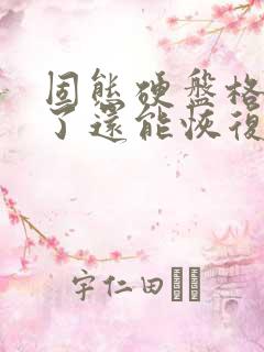 固态硬盘格式化了还能恢复数据吗