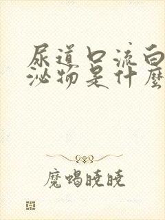 尿道口流白色分泌物是什么原因