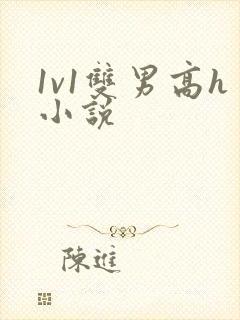 1v1双男高h小说
