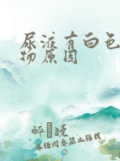 尿液有白色沉淀物原因