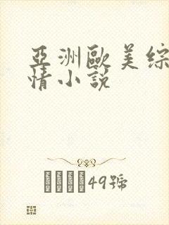 亚洲欧美综合激情小说