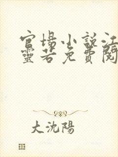 官场小说江风唐灵若免费阅读