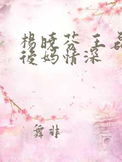 杨晓芬 王磊 后妈情深