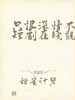 只恨深情不识鸢短剧在线观看