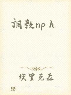 调教np h