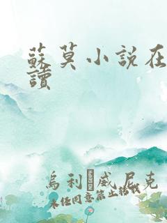 苏莫小说在线阅读