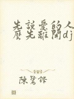 先说爱的人为什么先离开dj