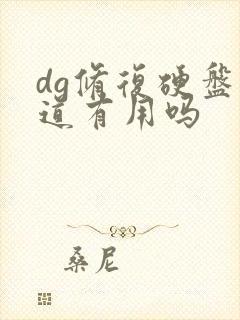 dg修复硬盘坏道有用吗