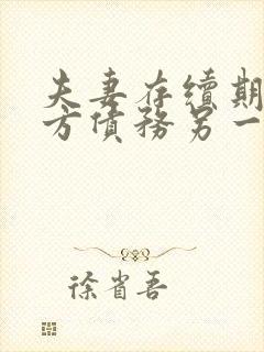 夫妻存续期间一方债务另一方不知情