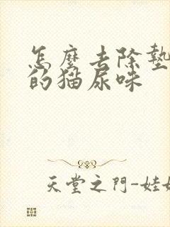 怎么去除垫子上的猫尿味