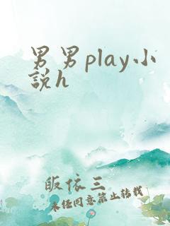 男男play小说h
