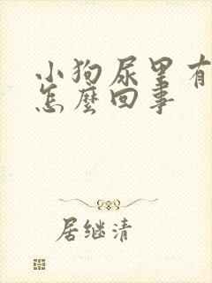 小狗尿里有血是怎么回事