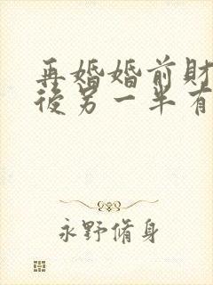 再婚婚前财产死后另一半有继承权吗