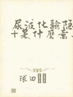 尿液化验隐血2+是什么意思