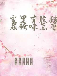 家里有股猫咪的尿骚味怎么办