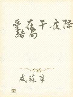 爱在午夜降临前 结局