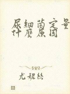 尿细菌定量高是什么原因