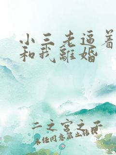 小三老逼着老公和我离婚