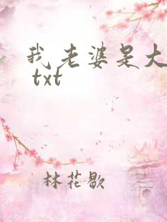 我老婆是大明星 txt