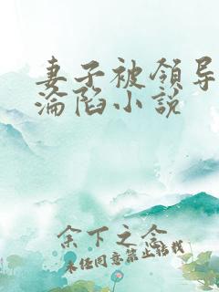 妻子被领导征服沦陷小说