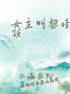 女主叫黎晴的小说