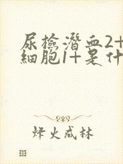 尿检潜血2+白细胞1+是什么意思