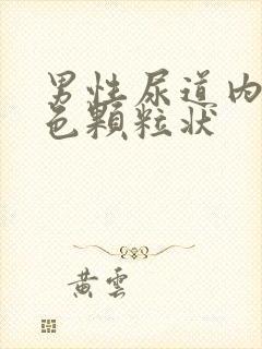 男性尿道内有白色颗粒状