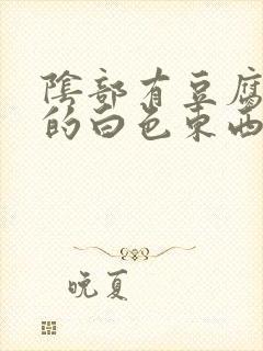 阴部有豆腐渣状的白色东西很痒