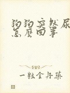 狗狗突然尿频繁怎么回事