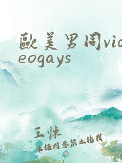 欧美男同videogays