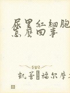 尿里红细胞多是怎么回事