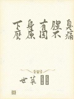 下身有腥臭味什么原因不痛不痒