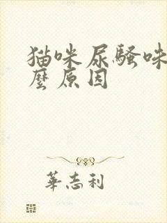 猫咪尿骚味重什么原因