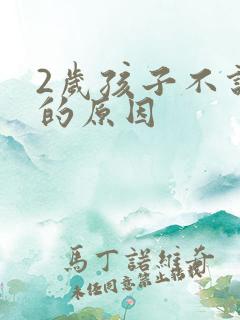 2岁孩子不说话的原因