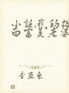 小说,我的总裁白富美老婆