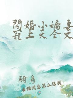 闪婚小娇妻大叔宠上天全文免费阅读无弹窗