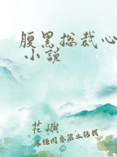 腹黑总裁心机宠 小说